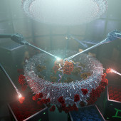 drug delivery
