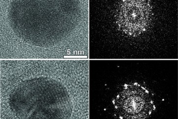 The Pitfalls of Plastic Sponges — And How to Wash Your Dishes Cleaner –  Cloud Paper