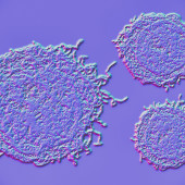 cancer cells