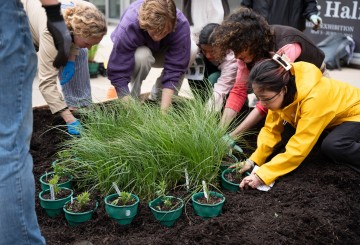 northwestern university creative writing faculty