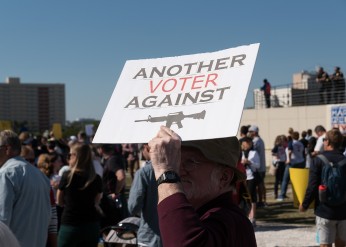 Federal Assault Weapons Ban