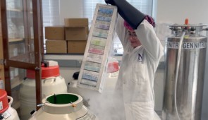 Liquid nitrogen to store patients' cells in Gemma Carvill's lab.