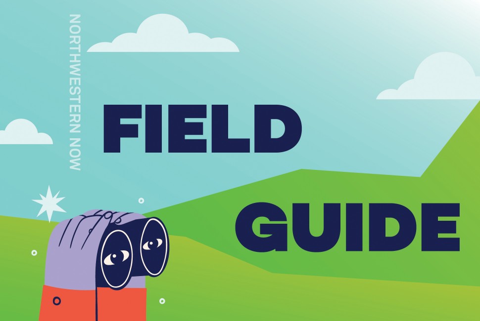 Binoculars trained on the words field guide