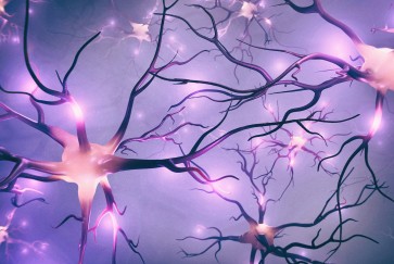 neurodegenerative diseases