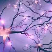 neurodegenerative diseases