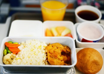 Airplane meal