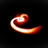 Black holes spin together to create a heart shape