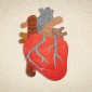 regenerating cardiac tissues