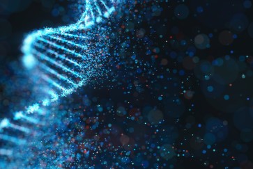 DNA