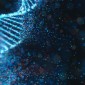 DNA