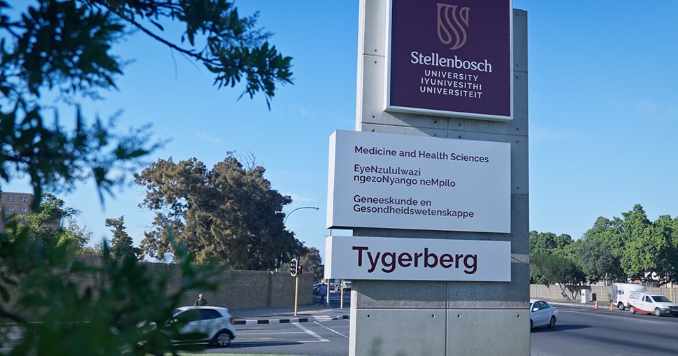 Northwestern and Stellenbosch University launch hub for global health knowledge