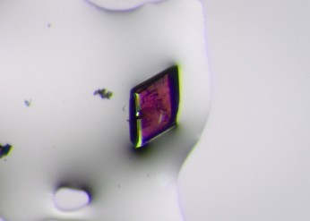 optical microscope image of a crystal