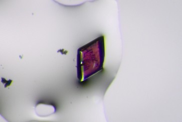 optical microscope image of a crystal