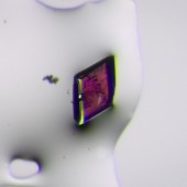 optical microscope image of a crystal