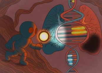 genes genotype phenotype
