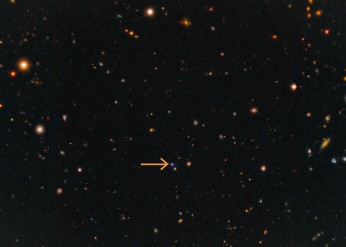 kangaroo fast x-ray transient supernova