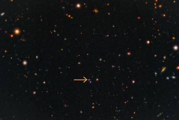 kangaroo fast x-ray transient supernova