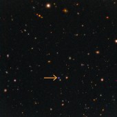 kangaroo fast x-ray transient supernova