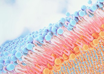 biological membranes