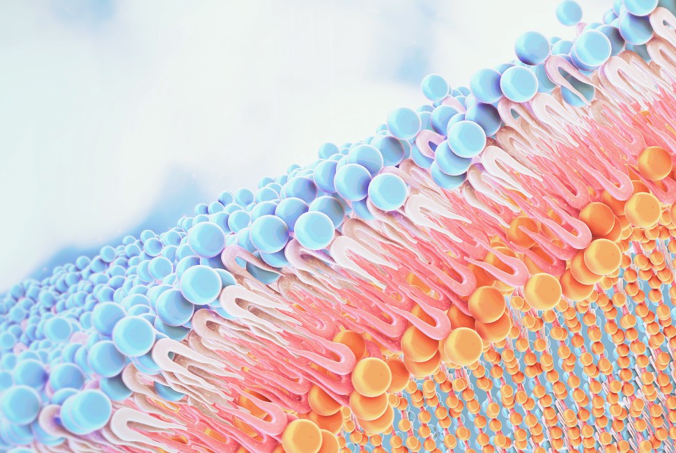 biological membranes