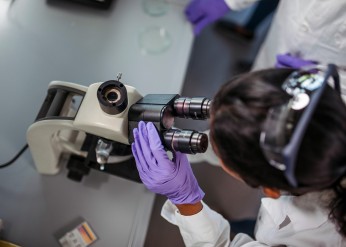 Ryan Family Research Acceleration Fund