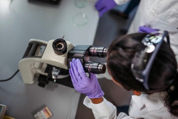 Ryan Family Research Acceleration Fund