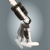 robotic limb artificial muscle