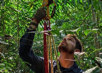 A closeup of Max Jones in climbing gear, looking up into a tree