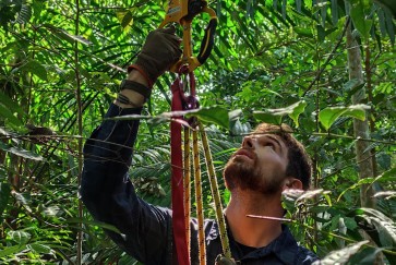 A closeup of Max Jones in climbing gear, looking up into a tree