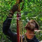 A closeup of Max Jones in climbing gear, looking up into a tree