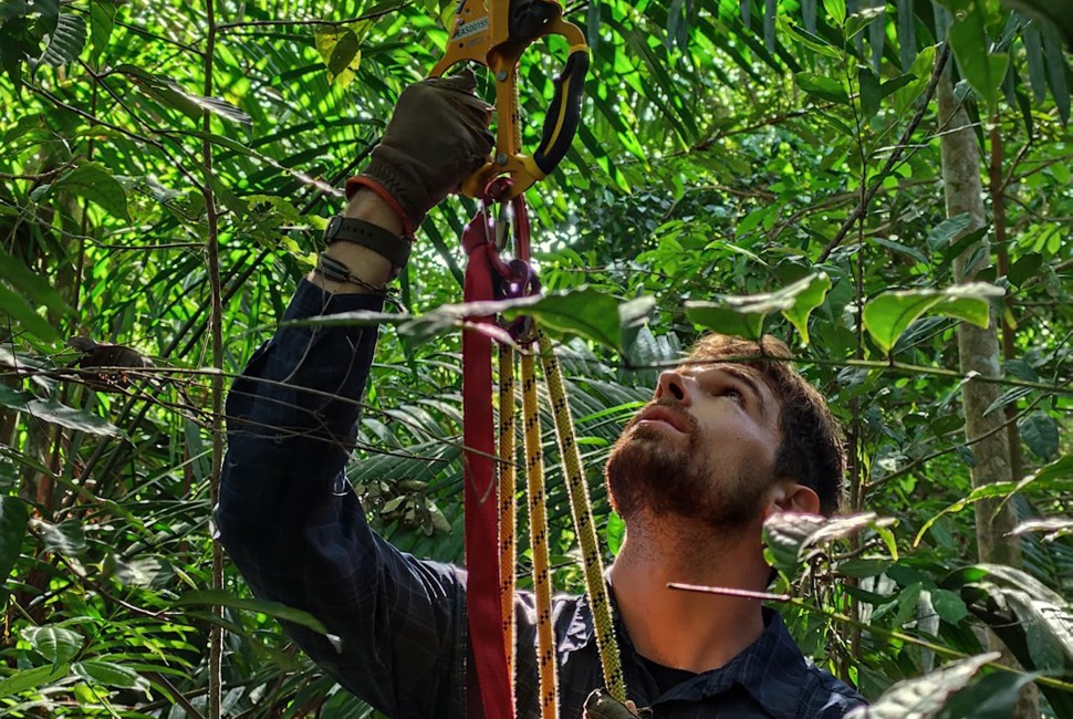 A closeup of Max Jones in climbing gear, looking up into a tree