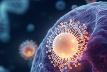 SNA crispr