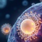 SNA crispr