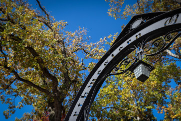 weber arch