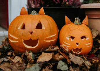Two jack-o'-lanterns carved to look like cats sit on a bed of leaves