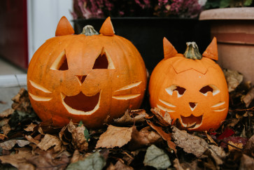 Two jack-o'-lanterns carved to look like cats sit on a bed of leaves
