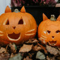 Two jack-o'-lanterns carved to look like cats sit on a bed of leaves