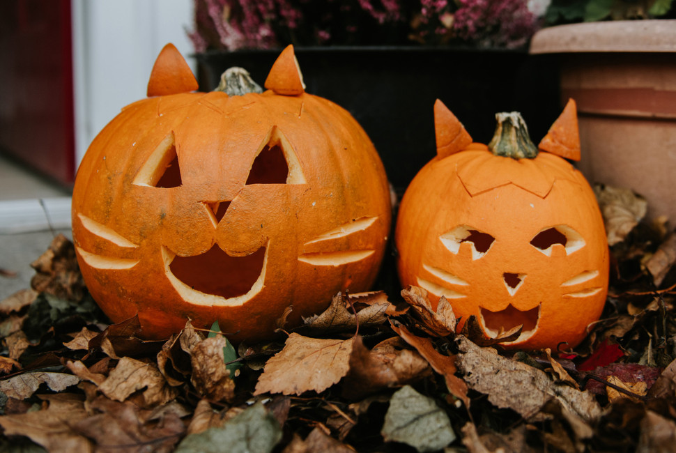 Two jack-o'-lanterns carved to look like cats sit on a bed of leaves