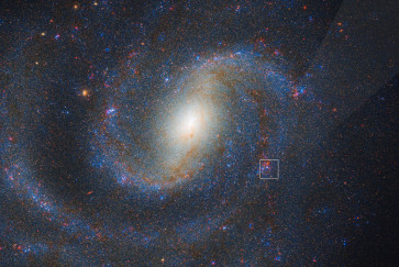 a combined Webb and Hubble view of spiral galaxy NGC 1637
