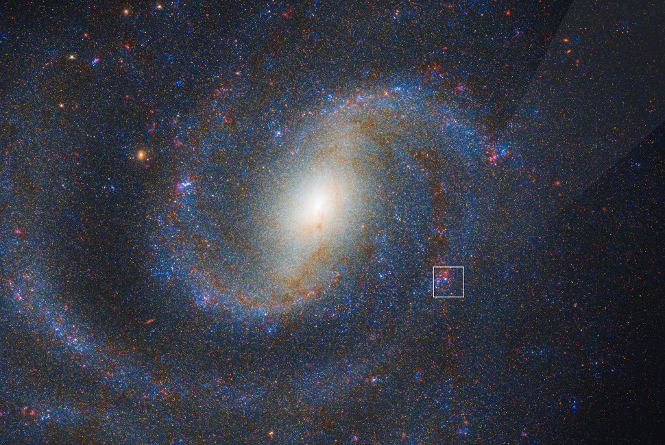 a combined Webb and Hubble view of spiral galaxy NGC 1637