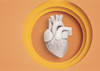 Genetic testing for sudden cardiac death