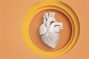 Genetic testing for sudden cardiac death