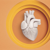 Genetic testing for sudden cardiac death