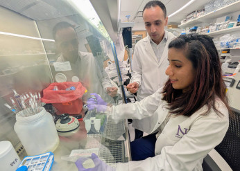Pratima Saini sits in the lab with Mohamed Abdel-Mohsen