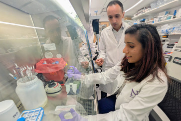 Pratima Saini sits in the lab with Mohamed Abdel-Mohsen