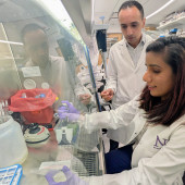 Pratima Saini sits in the lab with Mohamed Abdel-Mohsen