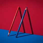 political preference