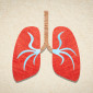 pneumonia lungs