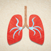 pneumonia lungs