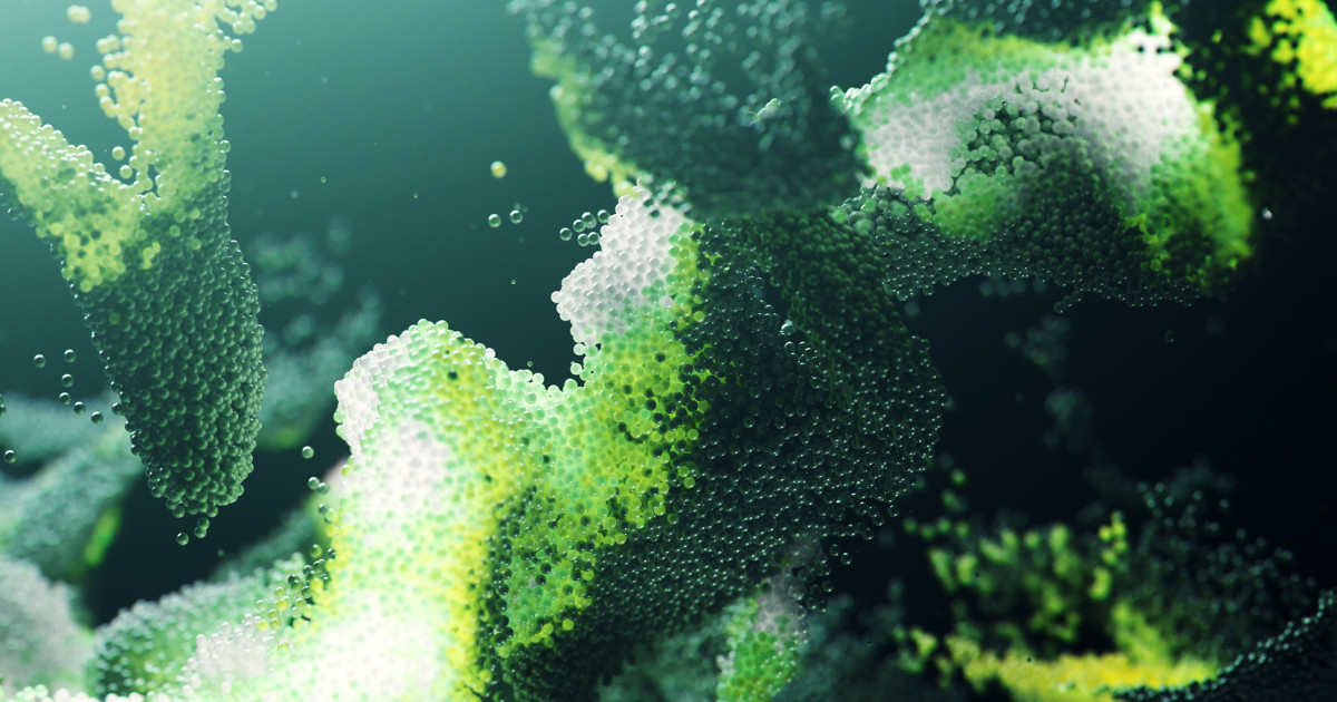 news.northwestern.edu image